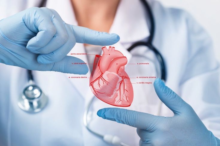 Cardiac Surgery and Advanced Heart Care