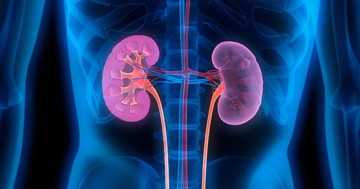 Nephrology and Kidney Care Abroad